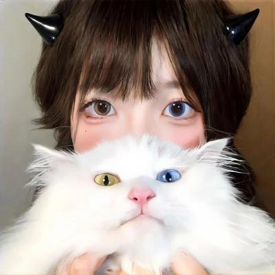 不眠 第二季